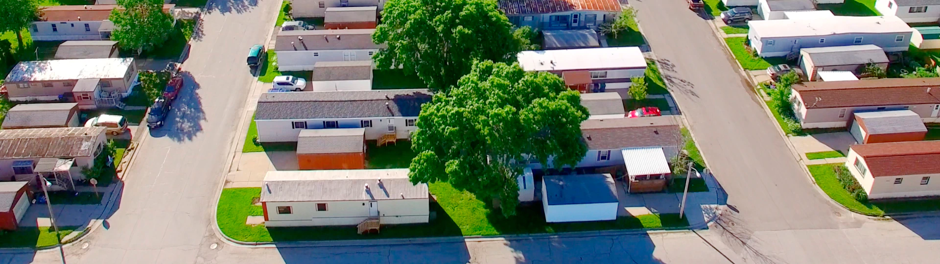 mobiles housesand trees